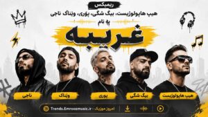 ریمیکس هیپ هاپولوژیست، بیگ شگی، پوری، ویناک، ناجی به نام غریبه